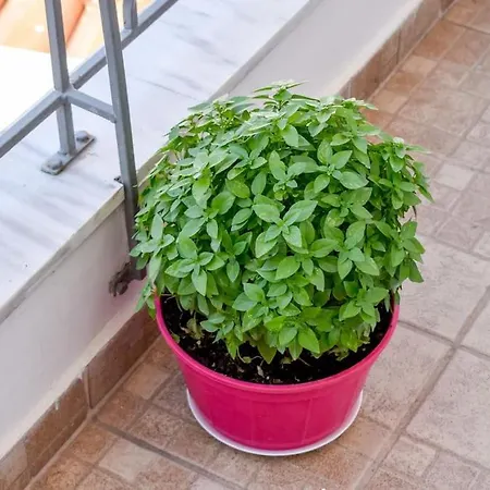 Casa vacanze With The View *