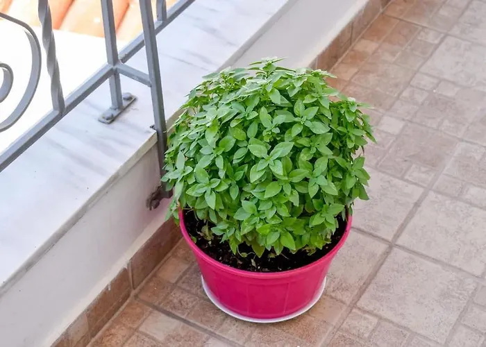 Сasa de vacaciones With The View *