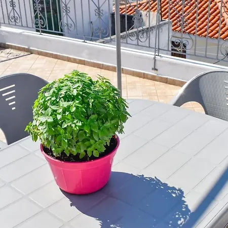 Tatil Evi With The View